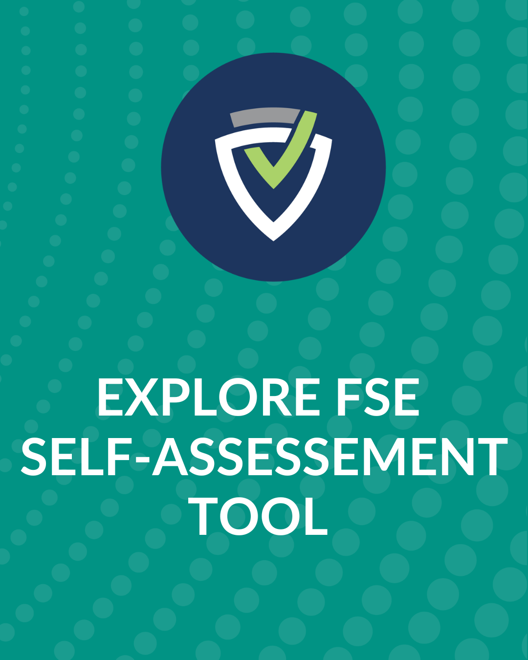 Explore FSE Self-Assessment Tool