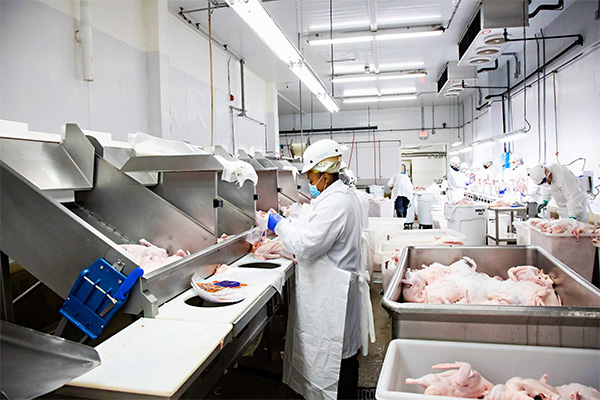 Module 3: Levelling Up Your Food Safety Program